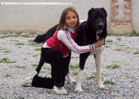 Zar in famiglia